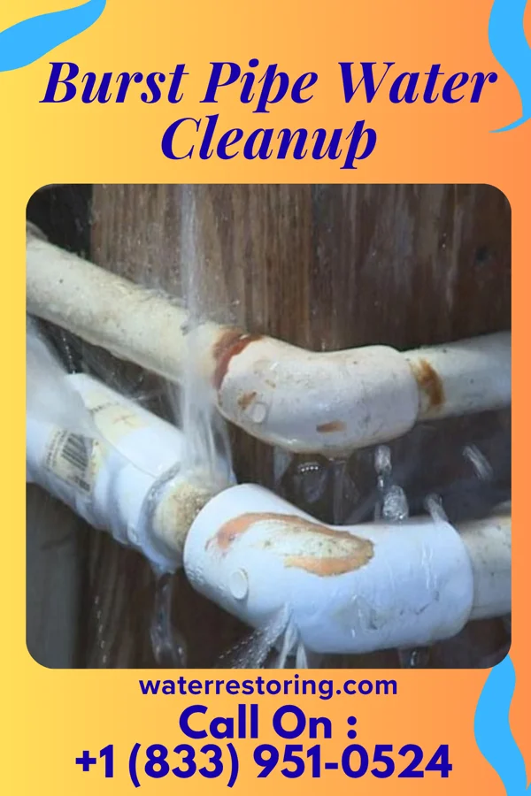 Burst Pipe Water Cleanup in Walton Park, NY