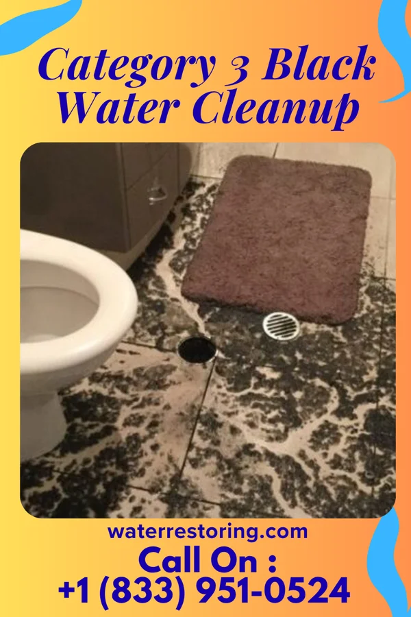 Category 3 Black Water Cleanup in Walton Park, NY