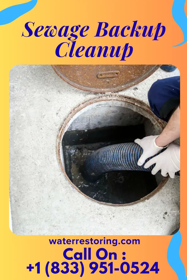 Sewage Backup Cleanup in Walton Park, NY