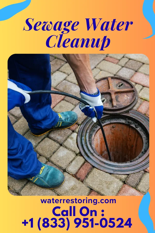 Sewage Water Cleanup in Walton Park, NY