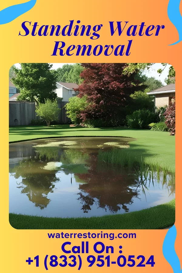 Standing Water Removal in Walton Park, NY